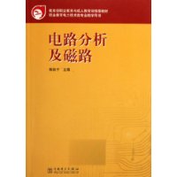 电路分析及磁路