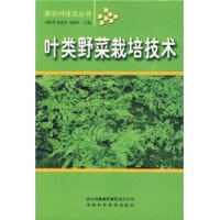 叶类野菜栽培技术