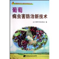  Ѳ溦¼