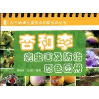  Ӻ溦ԭɫͼ