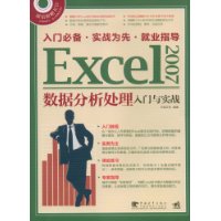 Excel 2007数据分析处理入门与实战(附盘)