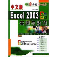 中文版Excel2003实例与技巧