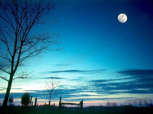 星座运势专题:巨蟹座的五月运势大揭秘