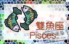 ˫�������ڽ���������