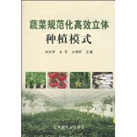 蔬菜规范化高效立体种植模式