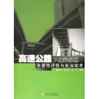 高速公路下伏采空区危害性评价与处治技术