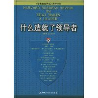  ʲô������쵼��(��װ)