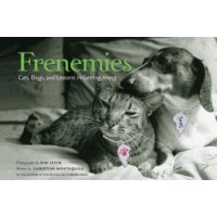 Frenemies: Cats, Dogs, and Lessons in Getting Along