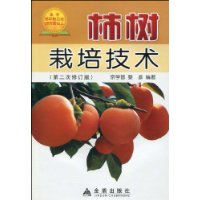  ༼(2޶)