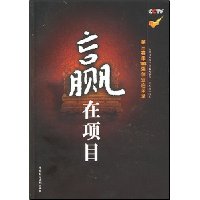 赢在项目