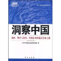 洞察中国:创新、整合与协作:中国企业跨越式发展之路