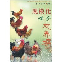规模化生态放养鸡
