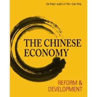  The Chinese Economy: Reform and Development