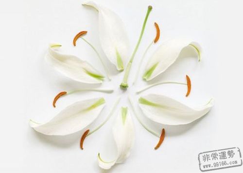 薇薇安处女座2011年11月运势