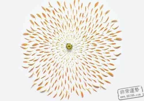 ޱޱ����Ы��2011��11������