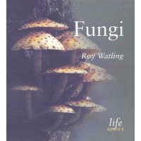  Fungi