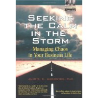  Seeking the Calm in the Storm: Managing Chaos in Your Business Life