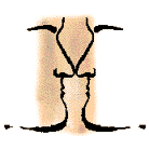 ʮָ
