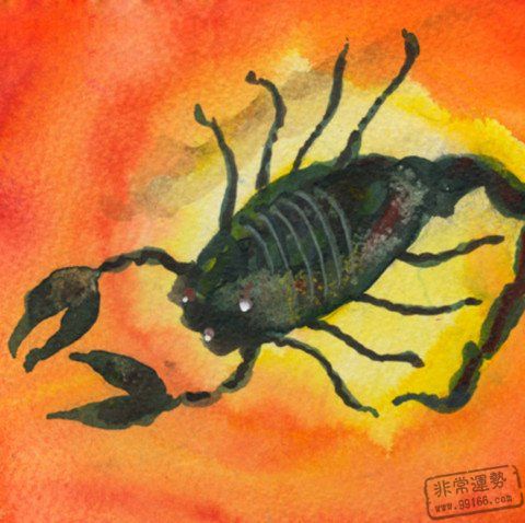 �������飺��Ы��������������