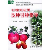  ʯ޻ָ