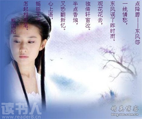 ܹ  筴----‏