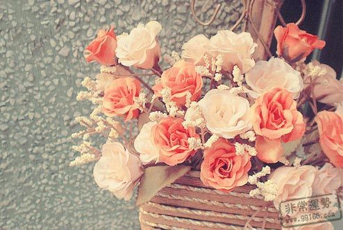 �����˳̣���Ы��2���һ���