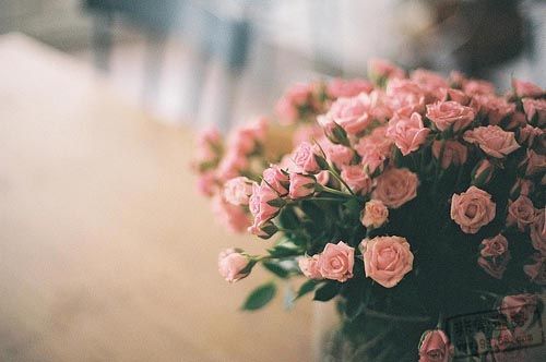 ˳̣з2һ