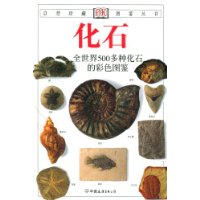  ��ʯ:ȫ����500���ֻ�ʯ�Ĳ�ɫͼ��(��ɫ)(�°�)