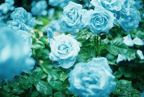 ʮ,,ʺʮĻ