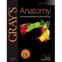  Gray's Anatomy: The Anatomical Basis of Clinical Practice, Expert Consult - Online and Print