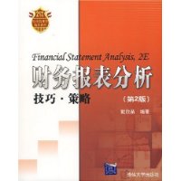 财务报表分析技巧·策略(第2版)