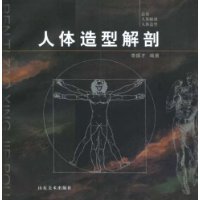 人体造型解剖