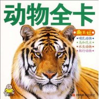  °汦رȫ:ȫ