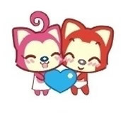 2013˽˫ô