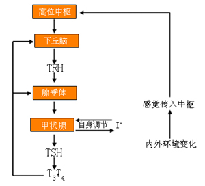 ԡٴ塪״