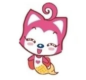 ˫
