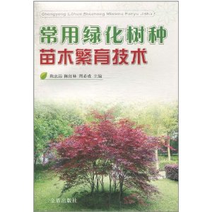 �����̻�������ľ�������� [ƽװ]