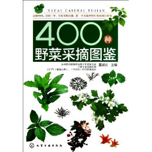 400Ұ˲ժͼ