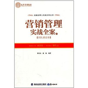 营销管理实战全案(下)(团队建设卷)