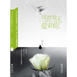 可惜我还爱着你