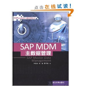 SAP企业信息化与最佳实践丛书:SAP MDM主数据管理