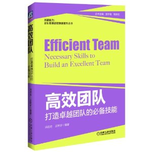 高效团队:打造卓越团队的必备技能