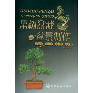 辰