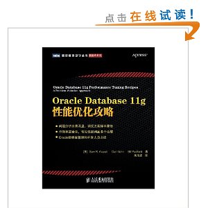 Oracle Database 11g性能优化攻略