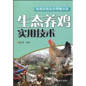 ��̬����ʵ�ü���