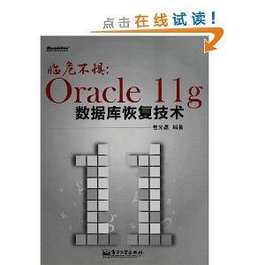 临危不惧:Oracle 11g数据库恢复技术