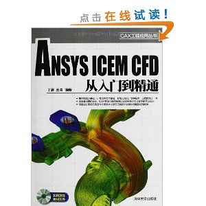 ANSYS ICEM CFDŵͨ()