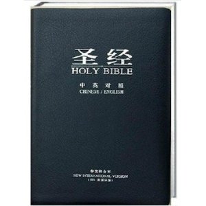 ʥӢĶ 25Ĵָ NIV¹ʰ