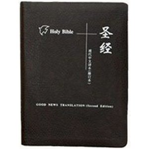 ʥ ӢĶʥGNT32K ִ뱾޶