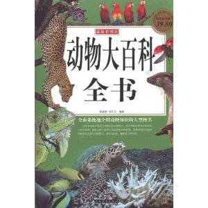 �����ٿ�ȫ��(��ֵ�׽��)